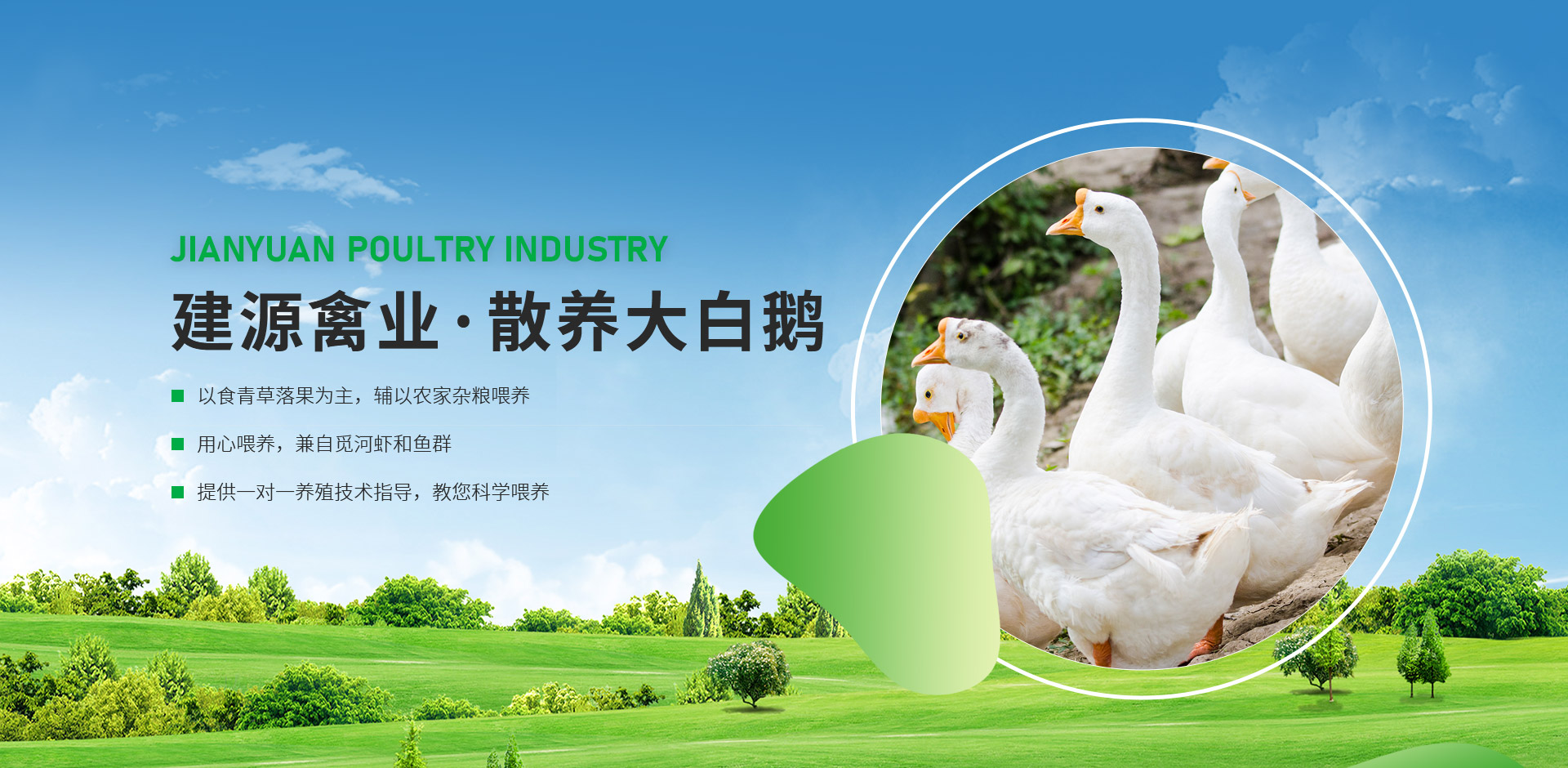 原陽縣建源禽業有限公司